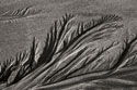 Texture Sand 3