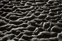 Texture Sand 7