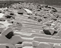 Tahoe Snow 1