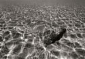 Underwater 3
