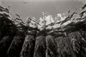 Pier Pilings 1