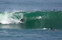 Surfing VIII