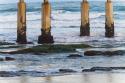 Ocean Beach Pier II