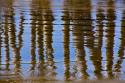 Pier Reflections II