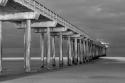 Scripps Pier BW I