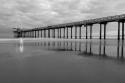 Scripps Pier BW II