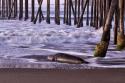 San Simeon Pier I