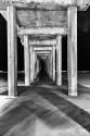 Under Scripps Pier