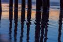 Ventura Pier Reflections I