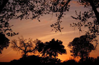 Unity Sunset