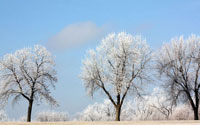 Frozen Fog I