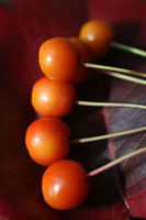 Berries I