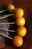 Berries II