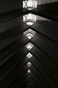Diamond Ceiling I