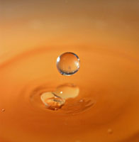 Tomato Soup Drop I