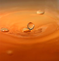 Tomato Soup Drop II