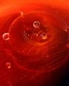 Red Drink Drop I