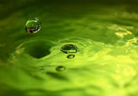 Lemon Lime Drop I