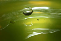 Lemon Lime Drop II