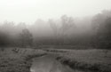 Creek in Fog I 