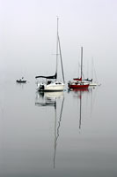 Red Sailboat II