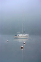Foggy Morning