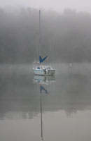 Blue Sail