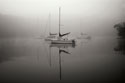 In the Fog 