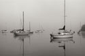 Across the Lake 