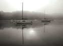 Red Sail 