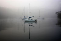 In the Fog