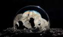 Frozen Bubble