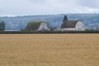 Dual Barns