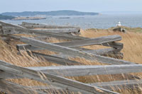 Lighthouse Path
