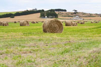 Hay Rolls III