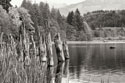 Baker Lake Pilings