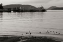 San Juan Ferry Dock I