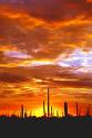 Sky a Fire I