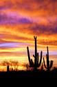 Sky a Fire II