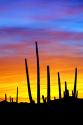 Solstice Sunset