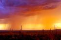 Evening Rain