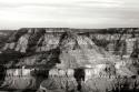 Grand Canyon Dawn III BW