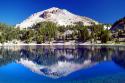 Rhyolite Reflections