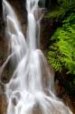 Falling Water I