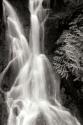 Falling Water I BW