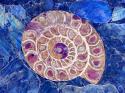 Ammonite in Labradorite