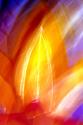 Incandescence