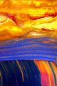 Archaea