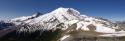 Mount Rainier View