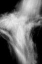 Falling Water III BW